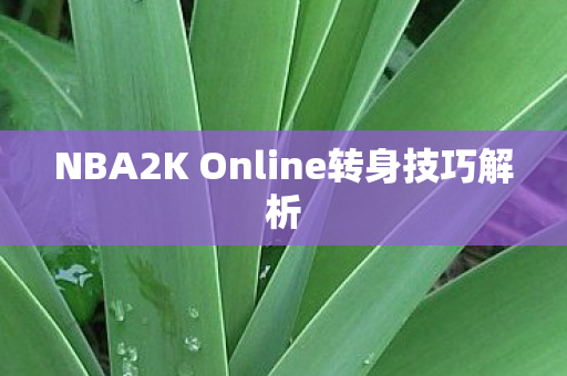 NBA2K Online转身技巧解析