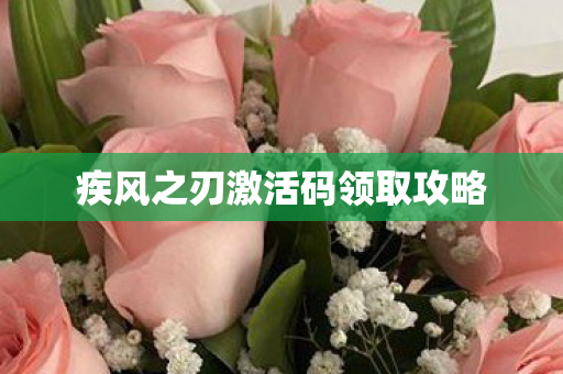 疾风之刃激活码领取攻略