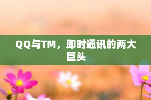 QQ与TM，即时通讯的两大巨头