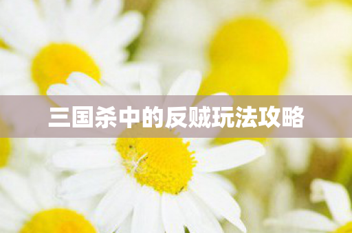 三国杀中的反贼玩法攻略