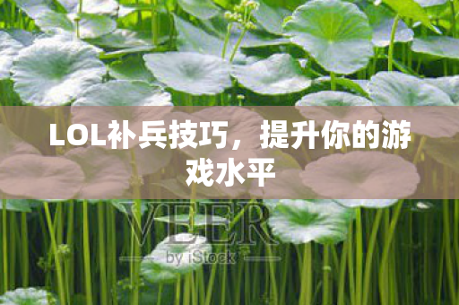 LOL补兵技巧，提升你的游戏水平