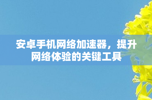 安卓手机网络加速器，提升网络体验的关键工具