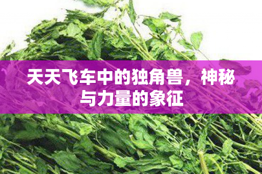 天天飞车中的独角兽，神秘与力量的象征