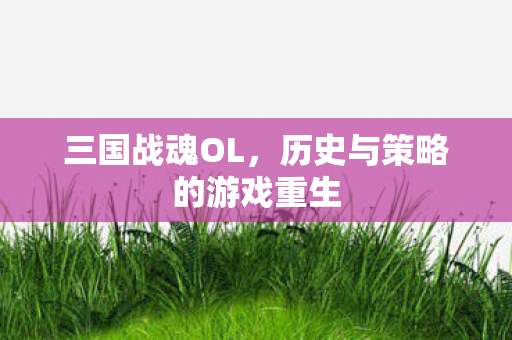 三国战魂OL，历史与策略的游戏重生