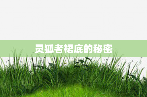 灵狐者裙底的秘密