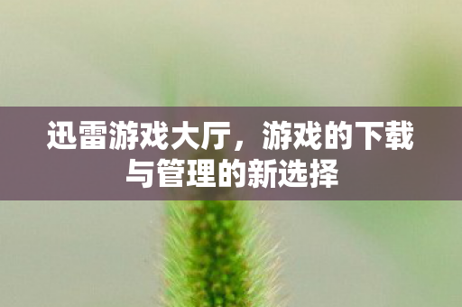 迅雷游戏大厅，游戏的下载与管理的新选择