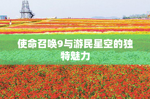 使命召唤9与游民星空的独特魅力