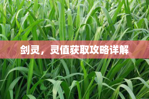 剑灵，灵值获取攻略详解