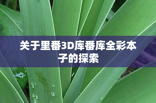 关于里番3D库番库全彩本子的探索