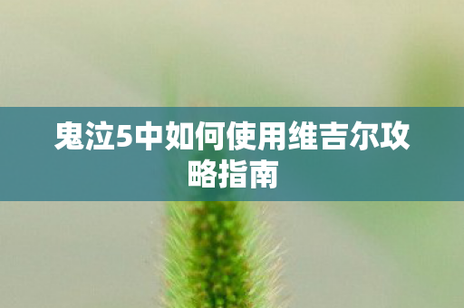 鬼泣5中如何使用维吉尔攻略指南