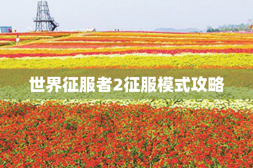 世界征服者2征服模式攻略