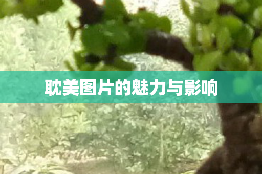 耽美图片的魅力与影响