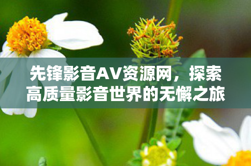 先锋影音AV资源网，探索高质量影音世界的无懈之旅