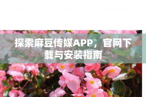 探索麻豆传媒APP，官网下载与安装指南