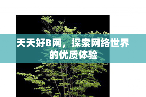 天天好B网，探索网络世界的优质体验