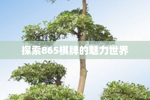 探索865棋牌的魅力世界