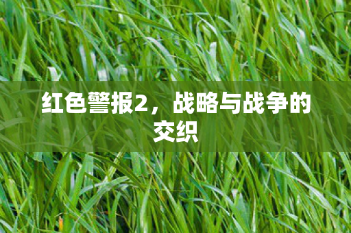 红色警报2，战略与战争的交织