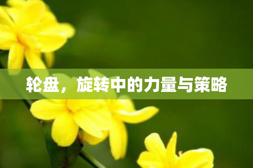 轮盘，旋转中的力量与策略