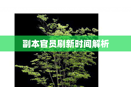 副本官员刷新时间解析