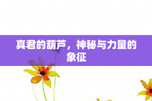 真君的葫芦，神秘与力量的象征