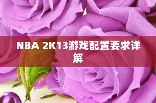 NBA 2K13游戏配置要求详解