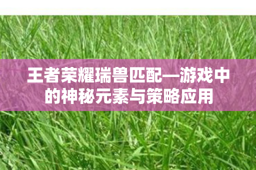 王者荣耀瑞兽匹配—游戏中的神秘元素与策略应用