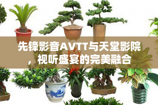 先锋影音AVTT与天堂影院，视听盛宴的完美融合