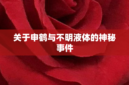 关于申鹤与不明液体的神秘事件