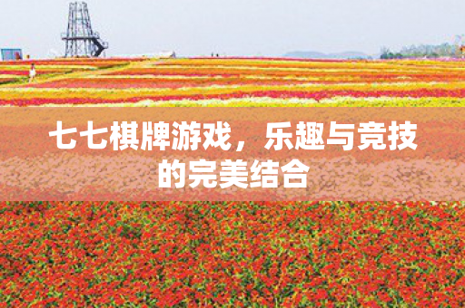 七七棋牌游戏，乐趣与竞技的完美结合