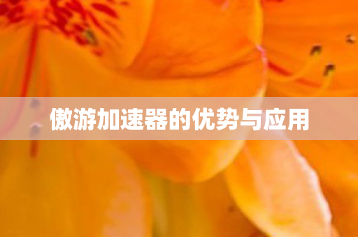 傲游加速器的优势与应用
