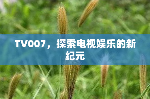 TV007，探索电视娱乐的新纪元