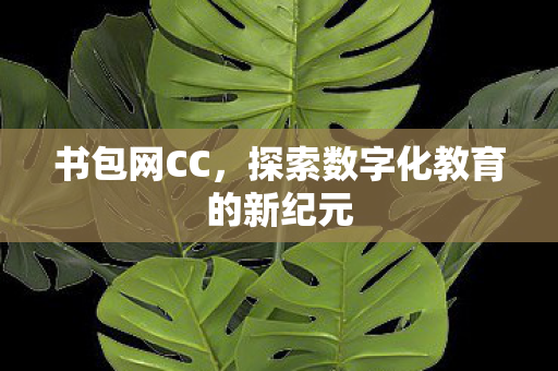 书包网CC，探索数字化教育的新纪元