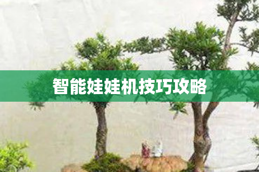 智能娃娃机技巧攻略