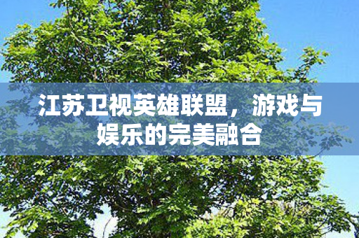 江苏卫视英雄联盟，游戏与娱乐的完美融合