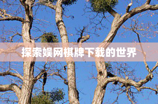 探索娱网棋牌下载的世界