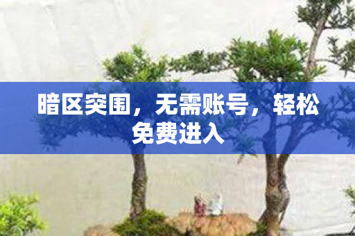 暗区突围，无需账号，轻松免费进入