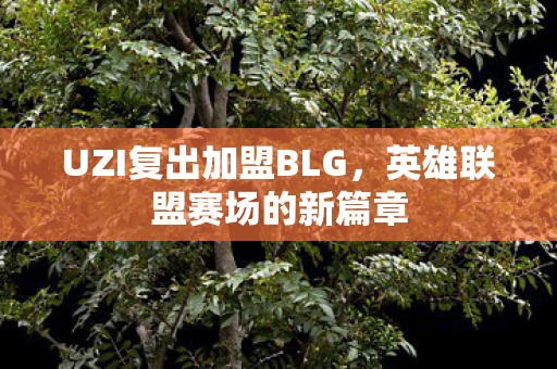 UZI复出加盟BLG，英雄联盟赛场的新篇章