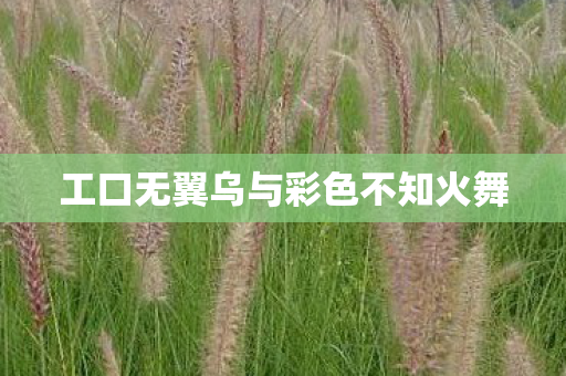 工口无翼乌与彩色不知火舞