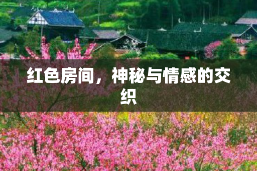 红色房间，神秘与情感的交织