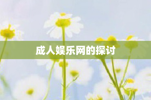 成人娱乐网的探讨