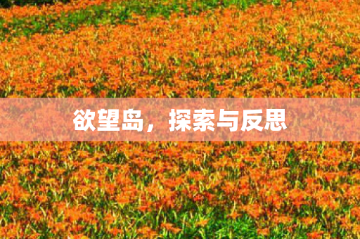 欲望岛，探索与反思