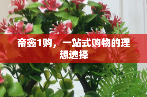 帝鑫1购，一站式购物的理想选择