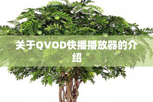 关于QVOD快播播放器的介绍