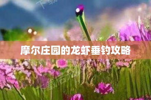 摩尔庄园的龙虾垂钓攻略