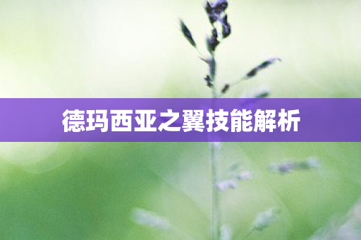 德玛西亚之翼技能解析