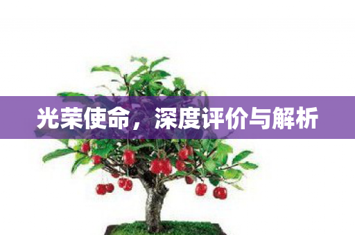 光荣使命，深度评价与解析