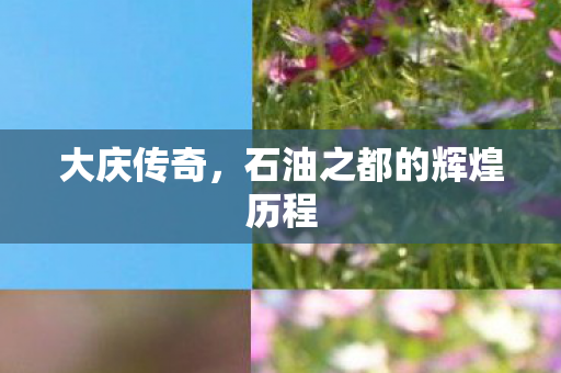 大庆传奇，石油之都的辉煌历程