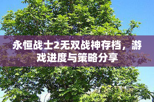 永恒战士2无双战神存档，游戏进度与策略分享