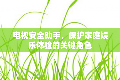 电视安全助手，保护家庭娱乐体验的关键角色