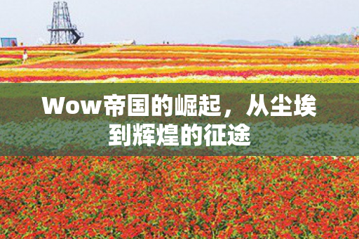 Wow帝国的崛起，从尘埃到辉煌的征途